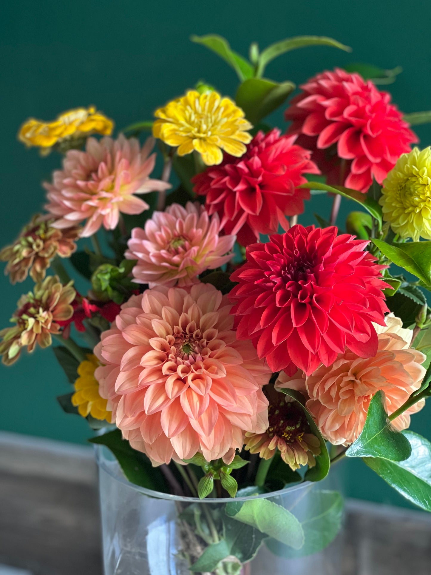 Farm Grown Bouquet Brights