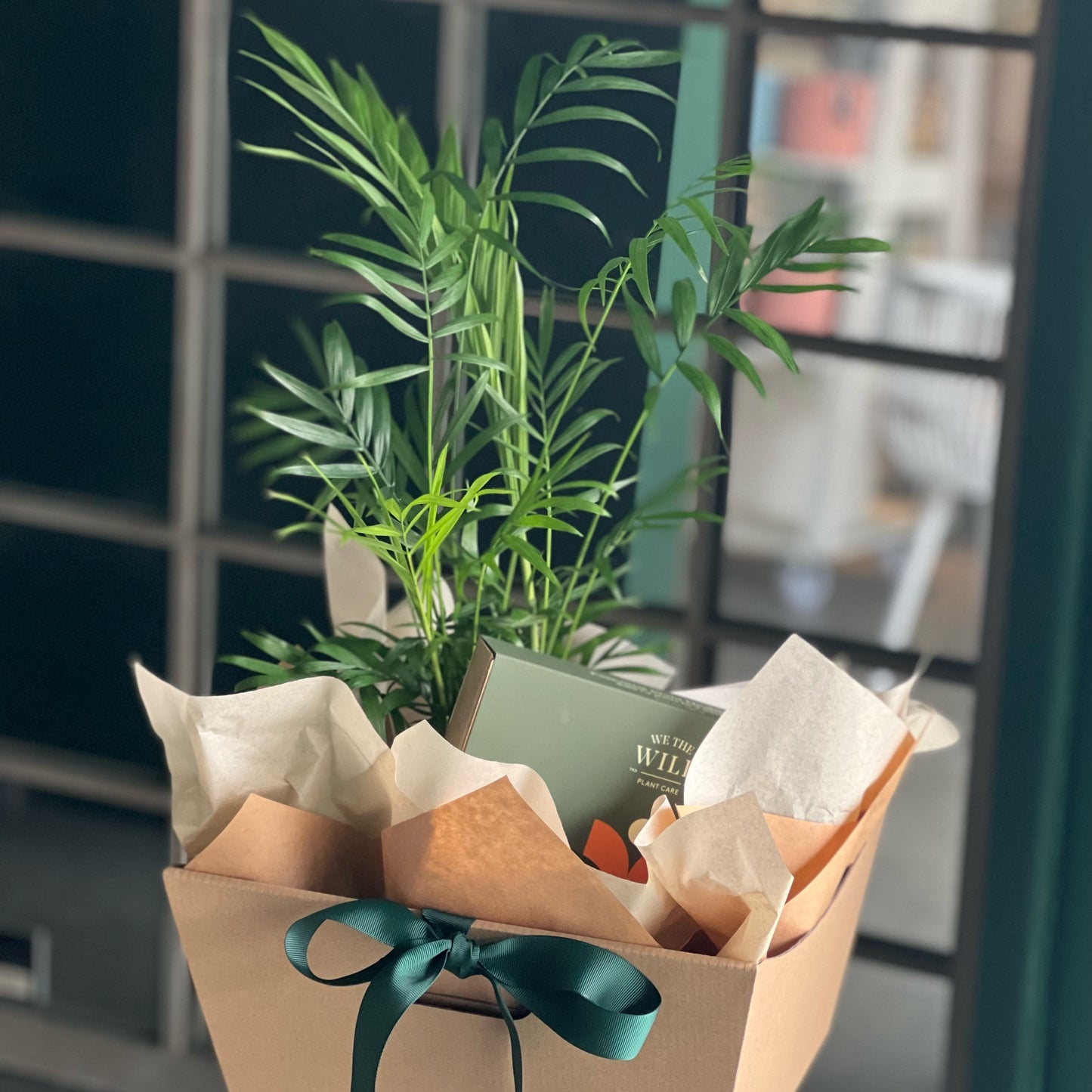Plant Care Bloom Box