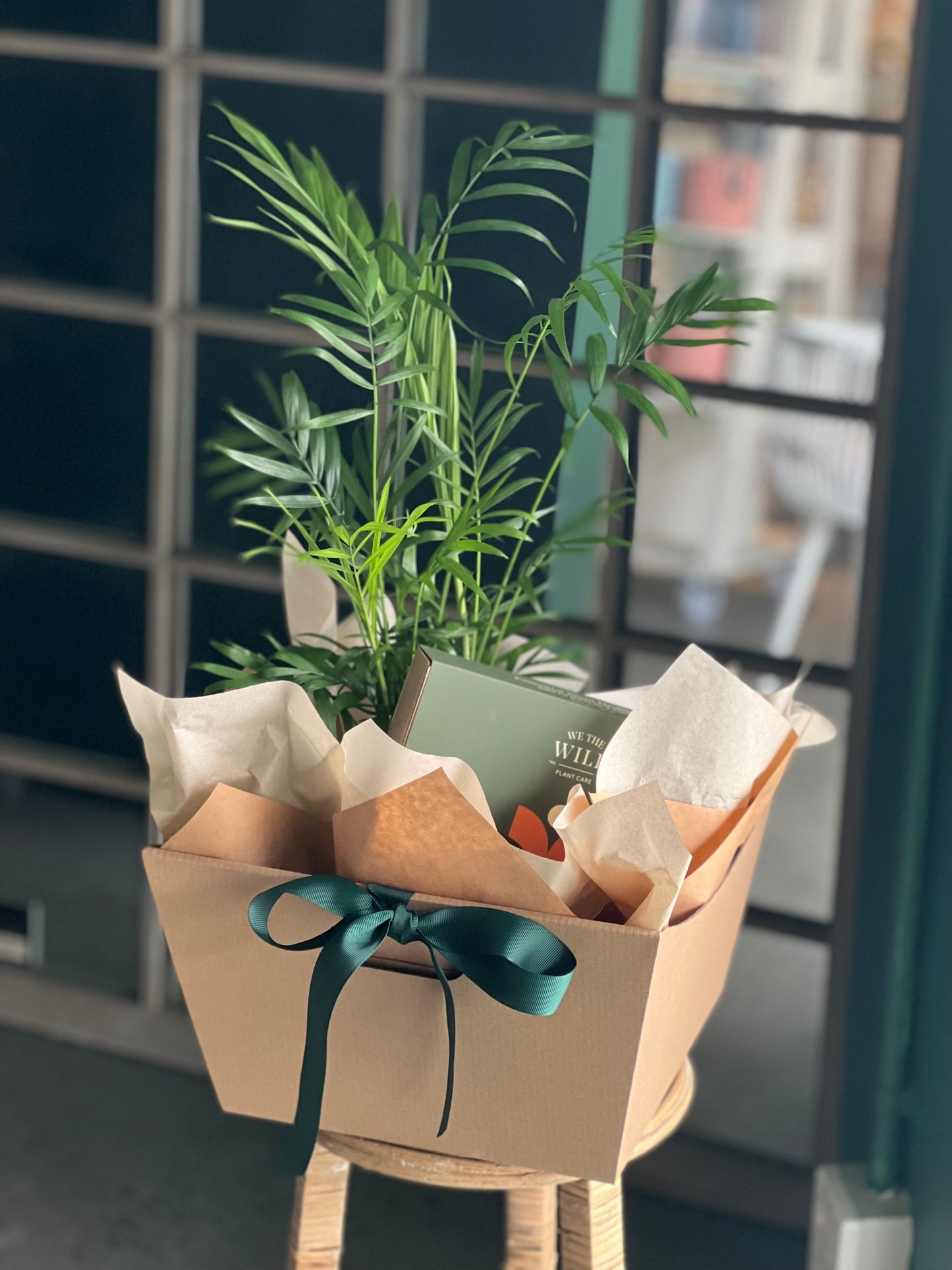 Plant Care Bloom Box