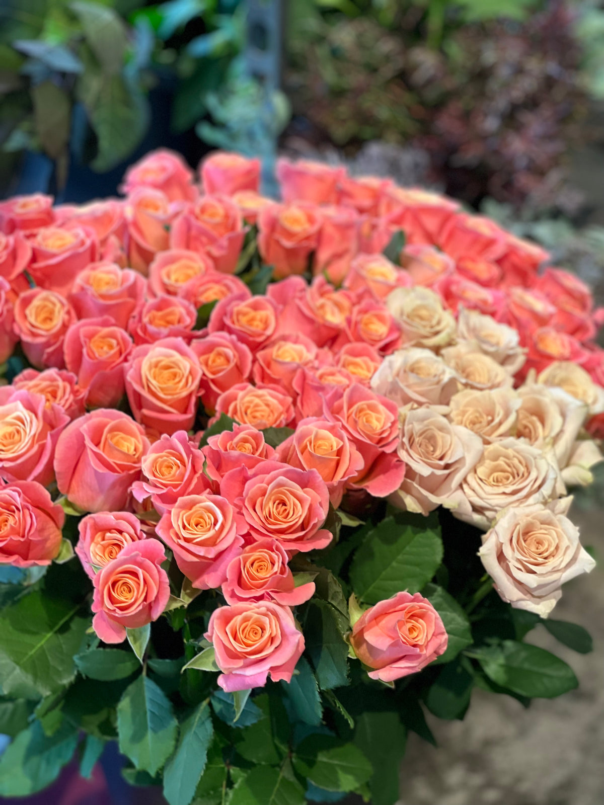 flowers from our farm | locally grown rose bunch