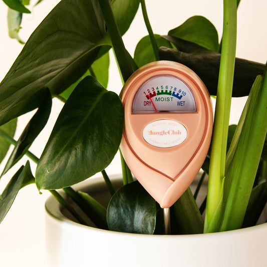 Moisture Meter Pink