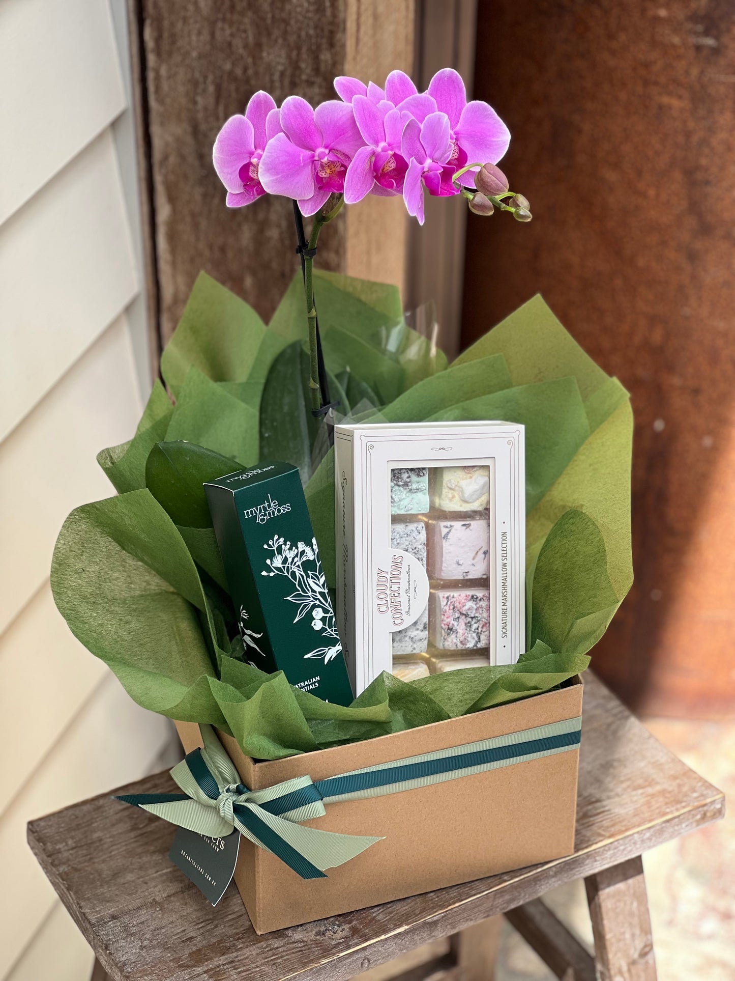 Phalaenopsis Bloom Box