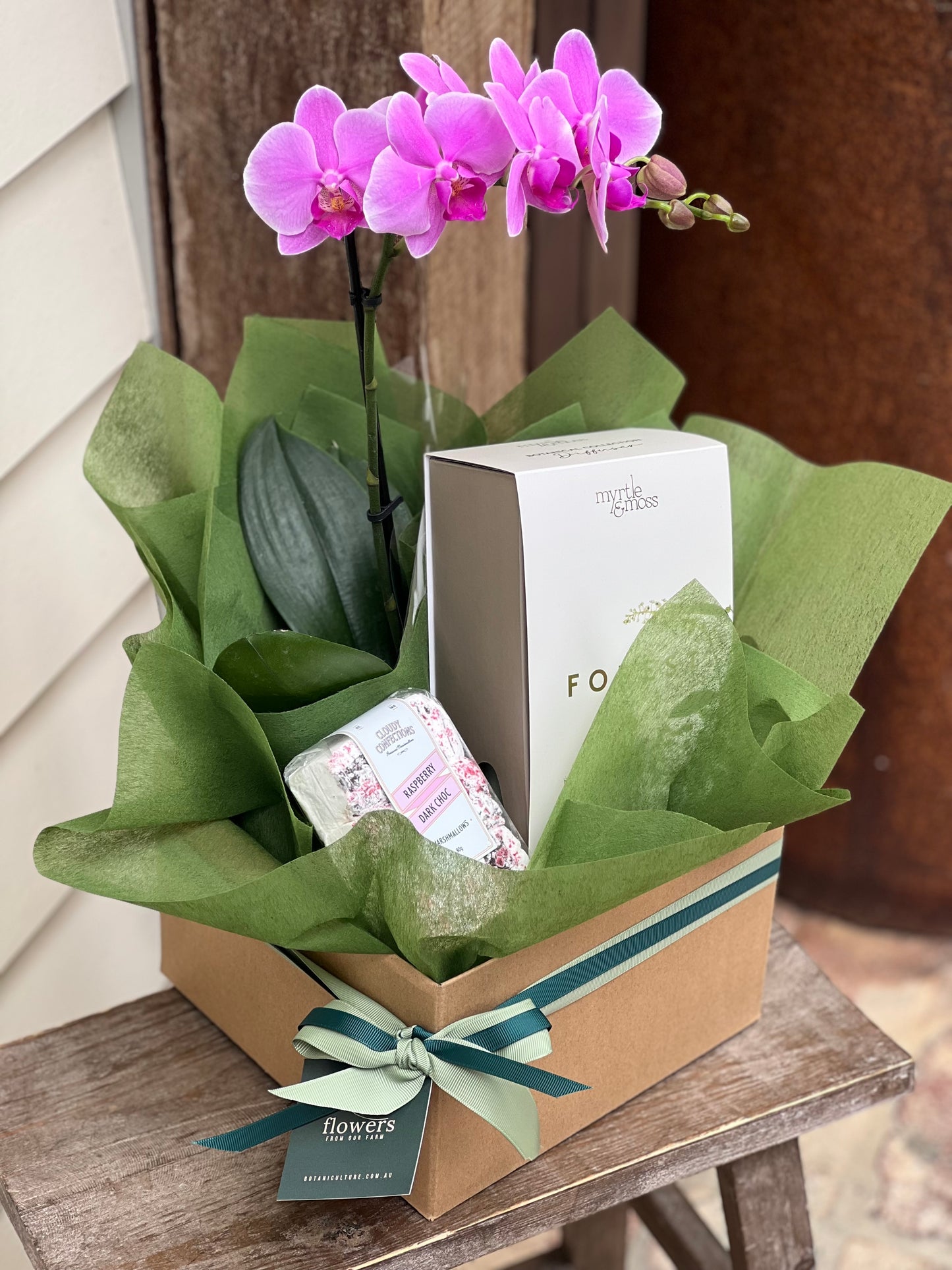 Phalaenopsis Orchid Luxe Gift Hamper