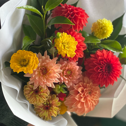 Farm Grown Bouquet Brights