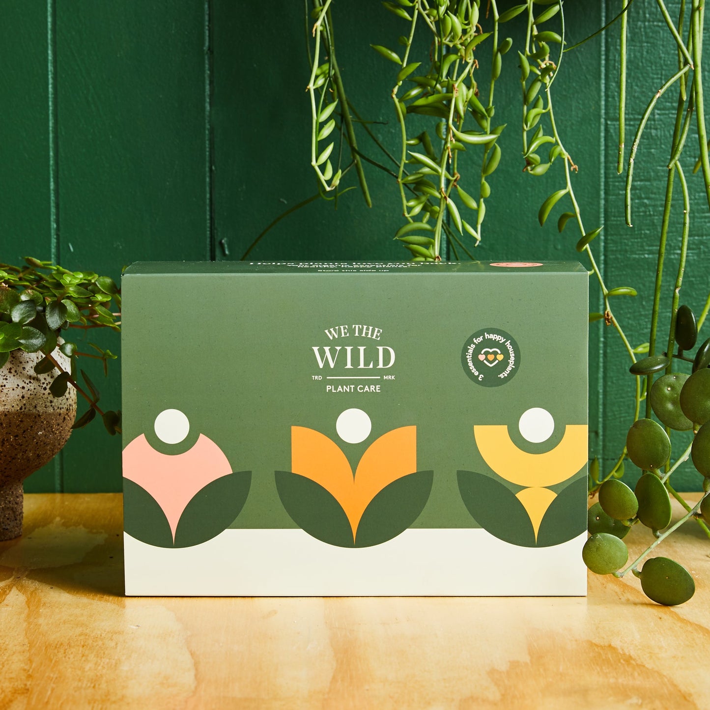 We The Wild Plant Care | Essential Kit